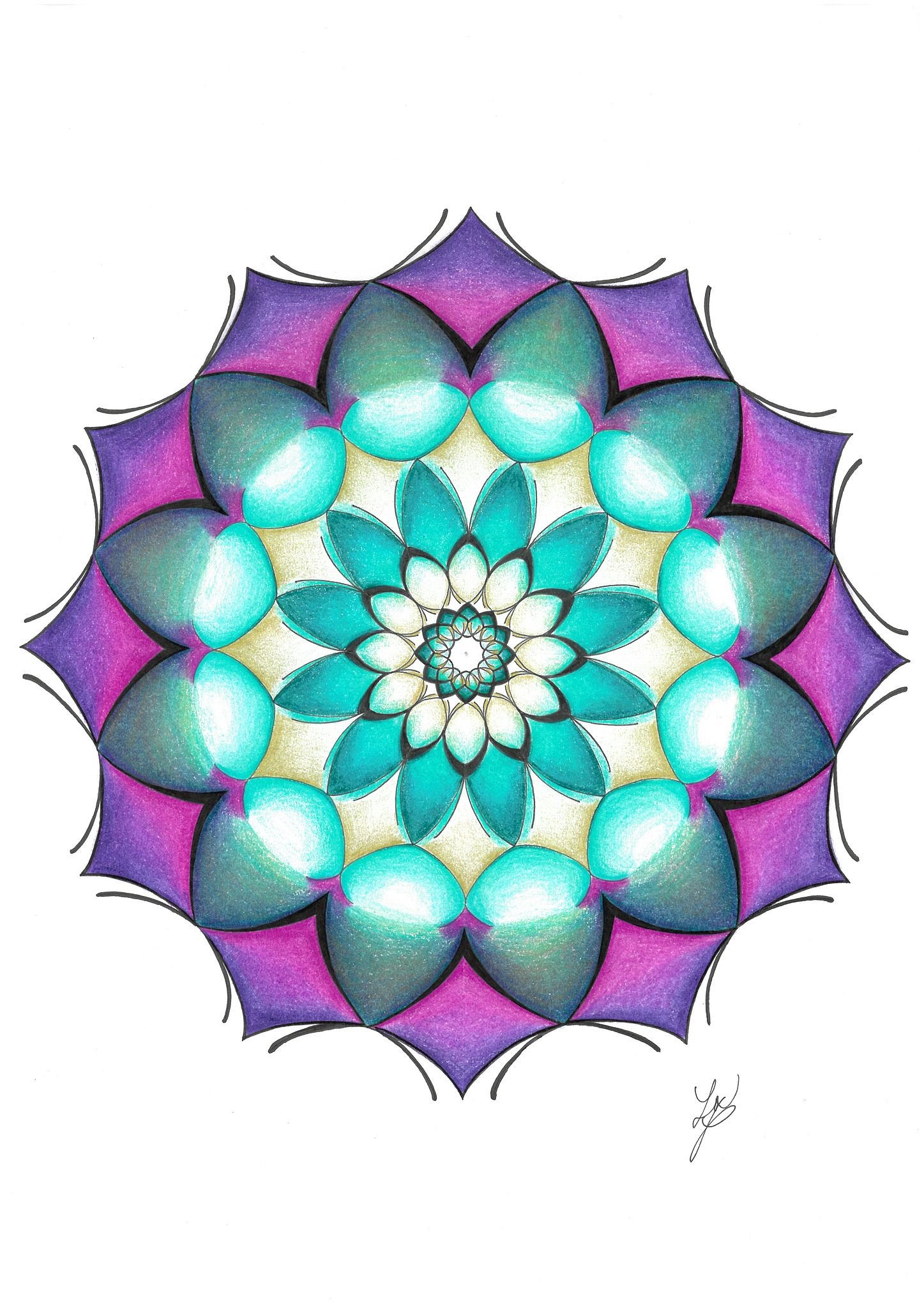 Obrázek WhatsApp, 2025-04-03 v 11.55.08_a7371eab.jpg